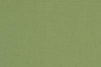 designers_guild_f1911-20.jpg