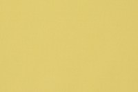 designers_guild_f1911-43.jpg