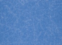 designers_guild_f1935-16.jpg