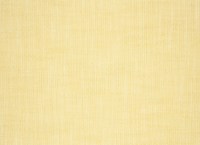 designers_guild_f1951-12.jpg