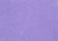 designers_guild_f2034-24.jpg