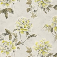 designers_guild_f2110-04.jpg