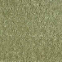 designers_guild_fdg2167-20.jpg