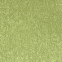 designers_guild_fdg2167-21.jpg