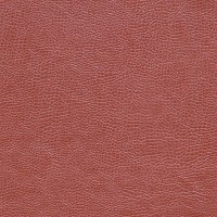 designers_guild_fdg2167-23.jpg