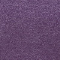 designers_guild_fdg2167-31.jpg