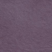 designers_guild_fdg2167-32.jpg