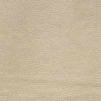 designers_guild_fdg2167-38.jpg