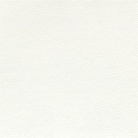 designers_guild_fdg2167-41.jpg