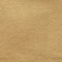 designers_guild_fdg2168-03.jpg