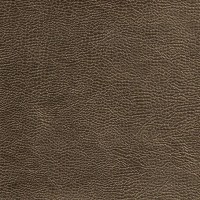 designers_guild_fdg2168-06.jpg