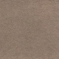 designers_guild_fdg2168-07.jpg