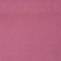 designers_guild_fdg2196-36.jpg