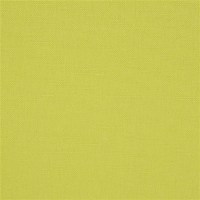 designers_guild_fdg2255-28.jpg