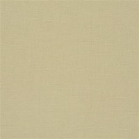 designers_guild_fdg2255-35.jpg