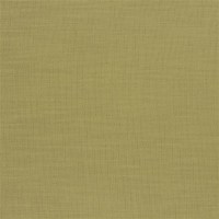 designers_guild_fdg2268-25.jpg