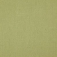 designers_guild_fdg2548-11.jpg