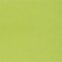 designers_guild_p536-08.jpg