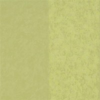 designers_guild_p576-15.jpg