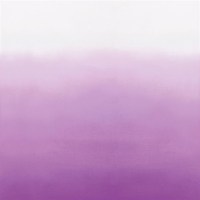 designers_guild_p600-02.jpg
