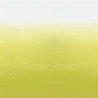 designers_guild_p600-03.jpg