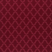 equipo-drt_19057.jpg