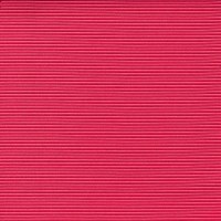 equipo-drt_19423.jpg