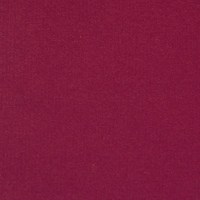 equipo-drt_19879.jpg