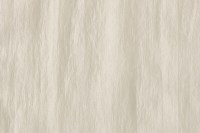 fischbacher_14359-927.jpg