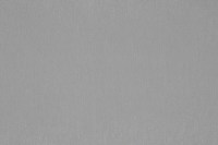 adele_14539_905.jpg
