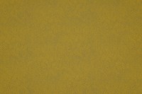 phoenix_14504_403.jpg