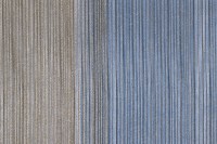 tristripe_2647_701.jpg