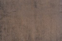 velvet_star_14482_208.jpg