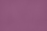 voilette_2722_flat_238.jpg