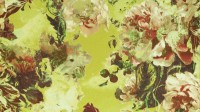 3301_02_n.jpg