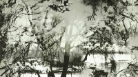 3307_01_n.jpg