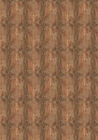 3326_01_n.jpg