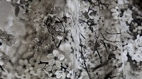 3468_01.jpg