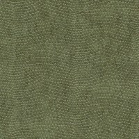 2n21-86.jpg