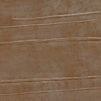 9b21-58.jpg