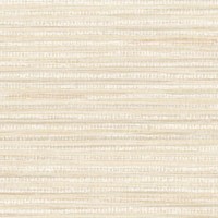 AR21-02_ARLO_FENNEL.jpg