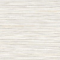 AR21-07_ARLO_RICE-PAPER.jpg