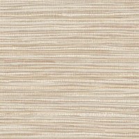 AR21-09_ARLO_ARROWROOT.jpg
