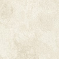 ARID_CELESTIAL(DA21-09).jpg