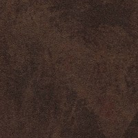 ARID_EARTH(DA21-08).jpg
