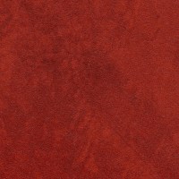 ARID_REDROCK(DA21-07).jpg