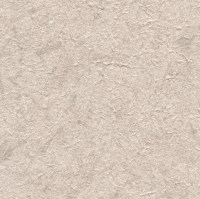 C521-20.jpg