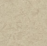 C521-35.jpg