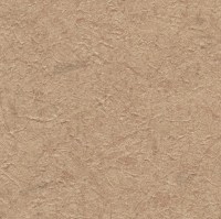 C521-37.jpg