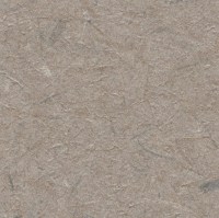 C521-55.jpg